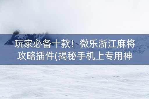 玩家必备十款！微乐浙江麻将攻略插件(揭秘手机上专用神器)