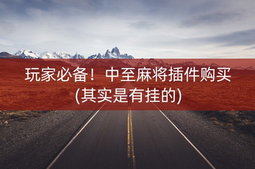 玩家必备！中至麻将插件购买(其实是有挂的)