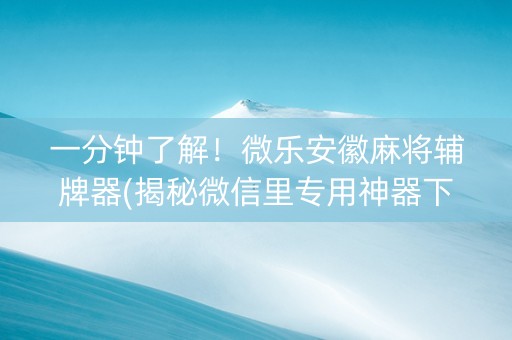 一分钟了解！微乐安徽麻将辅牌器(揭秘微信里专用神器下载)