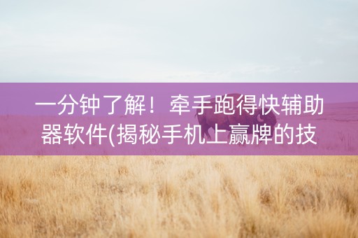 一分钟了解！牵手跑得快辅助器软件(揭秘手机上赢牌的技巧)