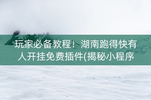 玩家必备教程！湖南跑得快有人开挂免费插件(揭秘小程序助攻神器)
