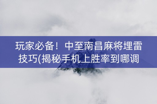 玩家必备！中至南昌麻将埋雷技巧(揭秘手机上胜率到哪调)