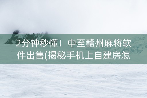 2分钟秒懂！中至赣州麻将软件出售(揭秘手机上自建房怎么赢)