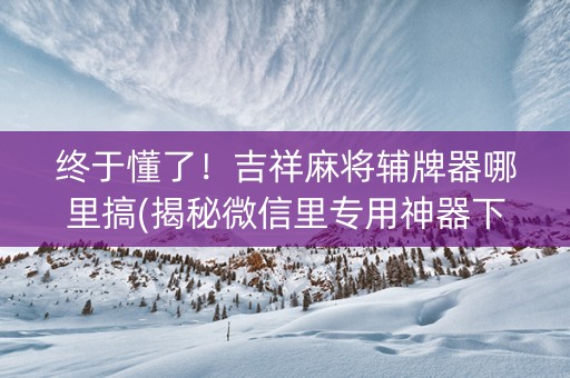 终于懂了！吉祥麻将辅牌器哪里搞(揭秘微信里专用神器下载)