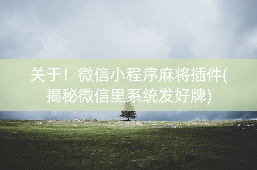关于！微信小程序麻将插件(揭秘微信里系统发好牌)