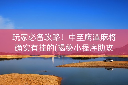 玩家必备攻略！中至鹰潭麻将确实有挂的(揭秘小程序助攻神器)
