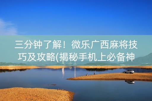 三分钟了解！微乐广西麻将技巧及攻略(揭秘手机上必备神器)