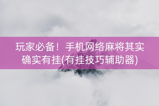 玩家必备！手机网络麻将其实确实有挂(有挂技巧辅助器)