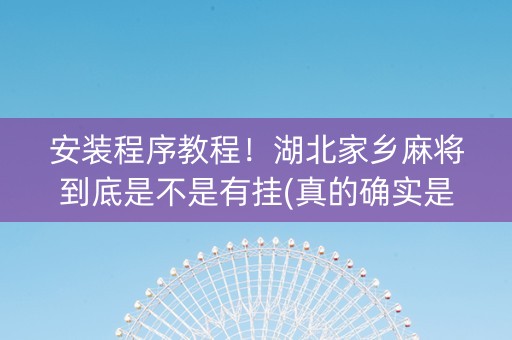 安装程序教程！湖北家乡麻将到底是不是有挂(真的确实是有挂)