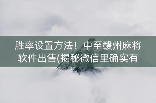 胜率设置方法！中至赣州麻将软件出售(揭秘微信里确实有猫腻)