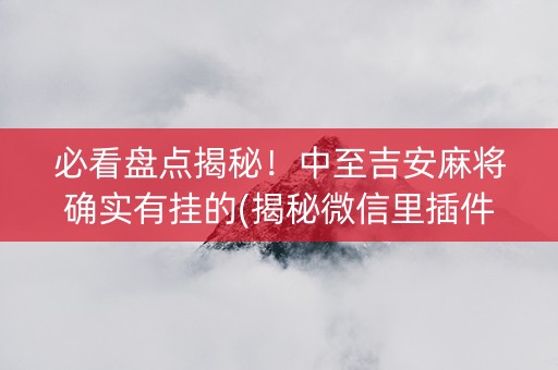 必看盘点揭秘！中至吉安麻将确实有挂的(揭秘微信里插件免费)