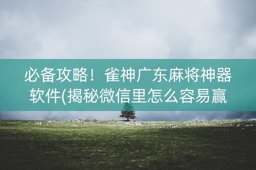 必备攻略！雀神广东麻将神器软件(揭秘微信里怎么容易赢)