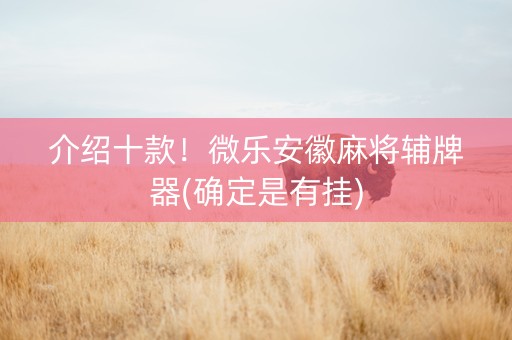 介绍十款！微乐安徽麻将辅牌器(确定是有挂)