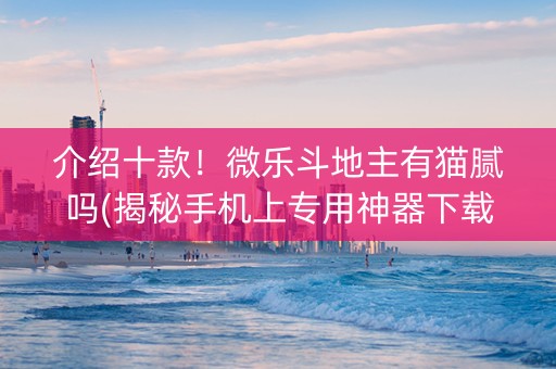 介绍十款！微乐斗地主有猫腻吗(揭秘手机上专用神器下载)