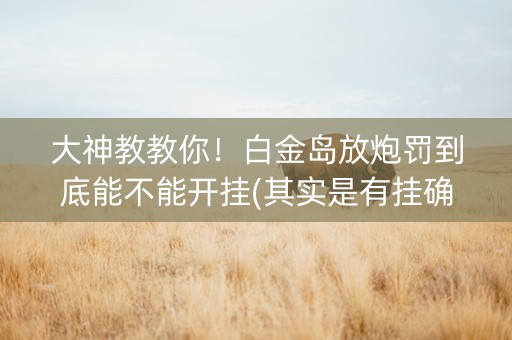 大神教教你！白金岛放炮罚到底能不能开挂(其实是有挂确实有挂)