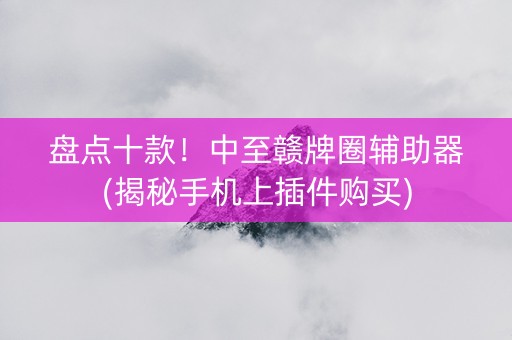 盘点十款！中至赣牌圈辅助器(揭秘手机上插件购买)