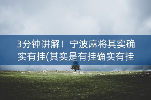 3分钟讲解！宁波麻将其实确实有挂(其实是有挂确实有挂)