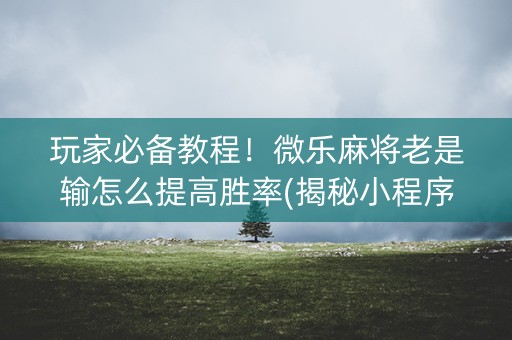 玩家必备教程！微乐麻将老是输怎么提高胜率(揭秘小程序赢的秘诀)
