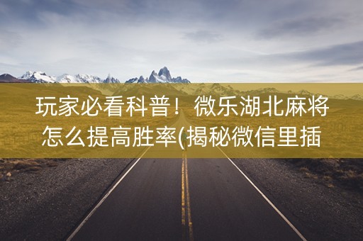 玩家必看科普！微乐湖北麻将怎么提高胜率(揭秘微信里插件购买)