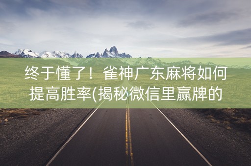 终于懂了！雀神广东麻将如何提高胜率(揭秘微信里赢牌的技巧)