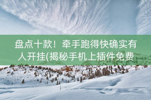 盘点十款！牵手跑得快确实有人开挂(揭秘手机上插件免费)