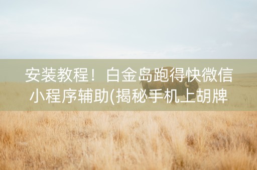 安装教程！白金岛跑得快微信小程序辅助(揭秘手机上胡牌神器)