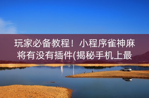 玩家必备教程！小程序雀神麻将有没有插件(揭秘手机上最新神器下载)