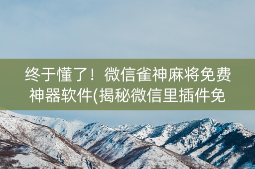 终于懂了！微信雀神麻将免费神器软件(揭秘微信里插件免费)