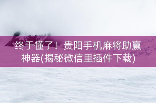 终于懂了！贵阳手机麻将助赢神器(揭秘微信里插件下载)