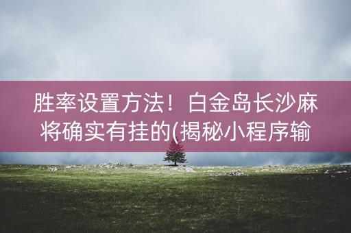 胜率设置方法！白金岛长沙麻将确实有挂的(揭秘小程序输赢规律)
