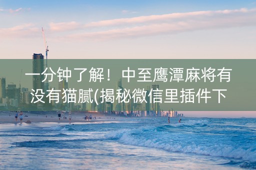 一分钟了解！中至鹰潭麻将有没有猫腻(揭秘微信里插件下载)