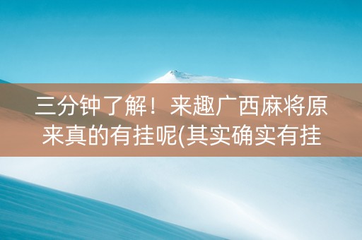 三分钟了解！来趣广西麻将原来真的有挂呢(其实确实有挂)
