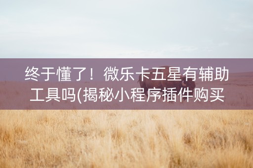 终于懂了！微乐卡五星有辅助工具吗(揭秘小程序插件购买)