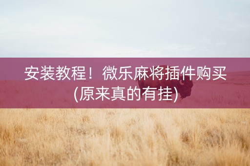安装教程！微乐麻将插件购买(原来真的有挂)