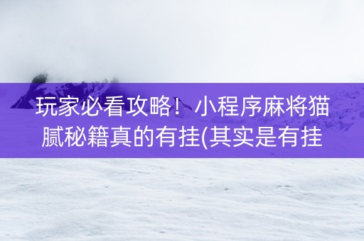 玩家必看攻略！小程序麻将猫腻秘籍真的有挂(其实是有挂确实有挂)