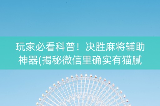 玩家必看科普！决胜麻将辅助神器(揭秘微信里确实有猫腻)
