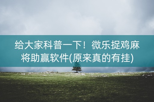 给大家科普一下！微乐捉鸡麻将助赢软件(原来真的有挂)