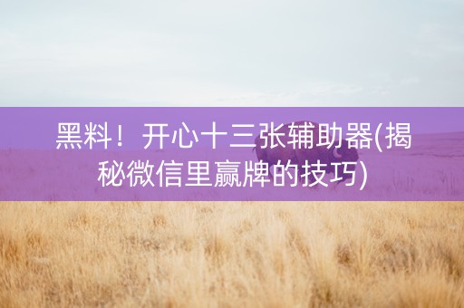 黑料！开心十三张辅助器(揭秘微信里赢牌的技巧)