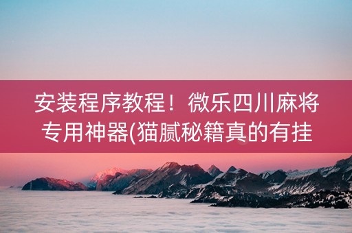 安装程序教程！微乐四川麻将专用神器(猫腻秘籍真的有挂)