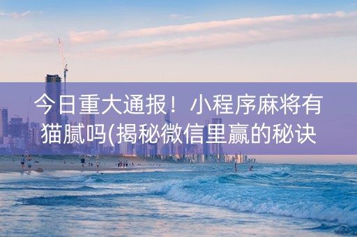今日重大通报！小程序麻将有猫腻吗(揭秘微信里赢的秘诀)