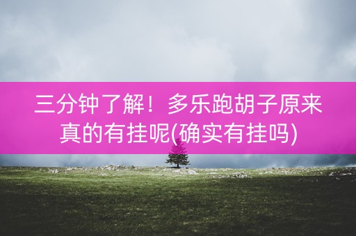 三分钟了解！多乐跑胡子原来真的有挂呢(确实有挂吗)