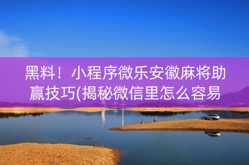 黑料！小程序微乐安徽麻将助赢技巧(揭秘微信里怎么容易赢)