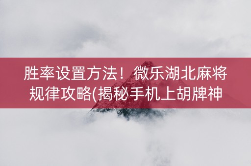 胜率设置方法！微乐湖北麻将规律攻略(揭秘手机上胡牌神器)