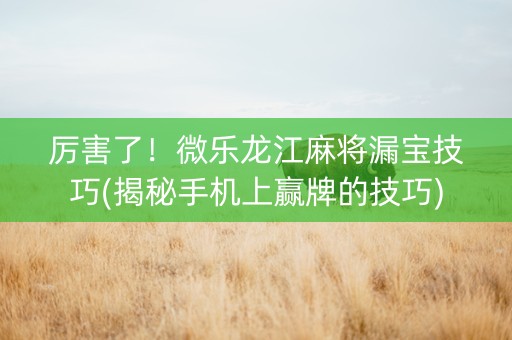 厉害了！微乐龙江麻将漏宝技巧(揭秘手机上赢牌的技巧)