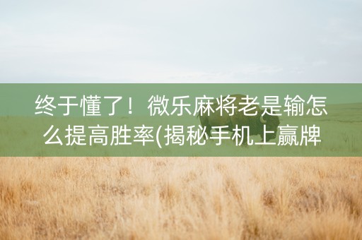 终于懂了！微乐麻将老是输怎么提高胜率(揭秘手机上赢牌技巧)