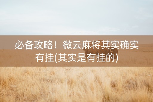 必备攻略！微云麻将其实确实有挂(其实是有挂的)