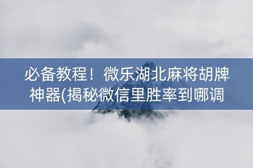 必备教程！微乐湖北麻将胡牌神器(揭秘微信里胜率到哪调)