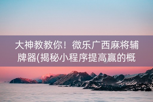 大神教教你！微乐广西麻将辅牌器(揭秘小程序提高赢的概率)