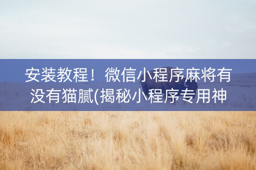 安装教程！微信小程序麻将有没有猫腻(揭秘小程序专用神器下载)