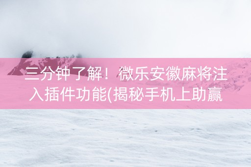 三分钟了解！微乐安徽麻将注入插件功能(揭秘手机上助赢软件)